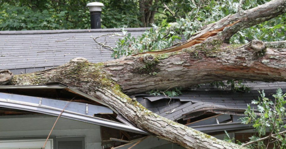 Un árbol cayó sobre una casa tras una tormenta en Sorel-Tracy. Será retirado por Emondage Sorel-Tracy.