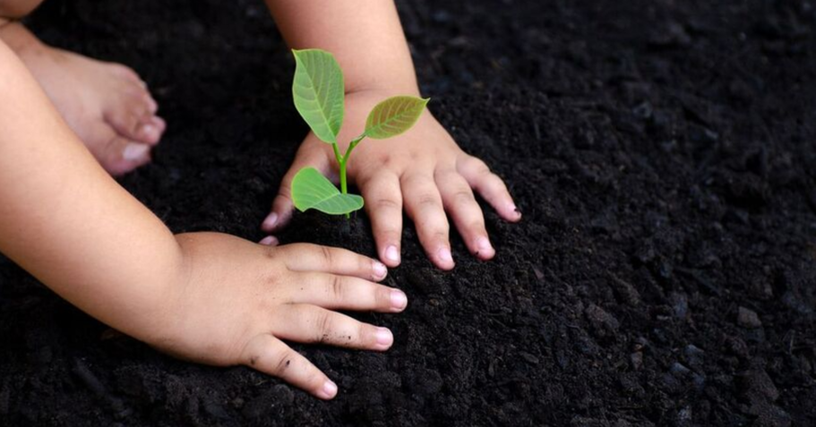Enfant à Sorel-Tracy qui plante un jeune arbre.