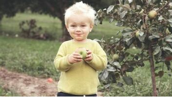 Child in Sorel-Tracy eating an apple from an apple tree planted by Emondage Sorel-Tracy.